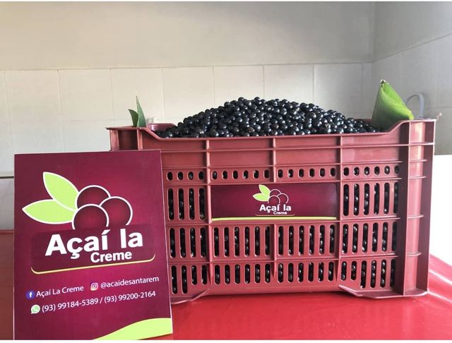 Caixa cheia de caroços de açaí recém-chegados
